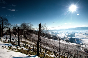 winterprogramm